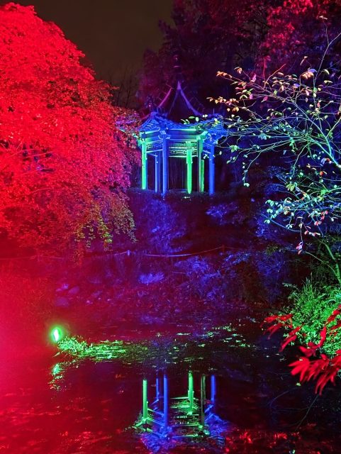 ✨𝐆𝐄𝐖𝐈𝐍𝐍𝐒𝐏𝐈𝐄𝐋✨ Die 𝐙𝐨𝐨𝐥𝐢𝐜𝐡𝐭𝐞𝐫 𝐢𝐦 𝐙𝐨𝐨 𝐃𝐮𝐢𝐬𝐛𝐮𝐫𝐠 sind gestartet – das absolute Must-See jetzt, in der dunklen Jahreszeit! ✨🏮✨! Der Chinesische Garten gehört auch in diesem Jahr wieder zu einem der Highlights. 

🎟️ 𝐖𝐚𝐬 𝐠𝐢𝐛𝐭’𝐬 𝐳𝐮 𝐠𝐞𝐰𝐢𝐧𝐧𝐞𝐧? Wir verlosen freien Eintritt für zwei Personen. Verbringt zusammen einen magischen Abend zwischen leuchtenden Tierfiguren & funkelnden Bäumen! 

Die Tickets können bis 𝟎𝟕. 𝐃𝐞𝐳𝐞𝐦𝐛𝐞𝐫 𝟐𝟎𝟐𝟓 (Do – So, 𝟏𝟕–𝟐𝟎 𝐔𝐡𝐫) eingelöst werden.

💛 𝐒𝐨 𝐦𝐚𝐜𝐡𝐬𝐭 𝐝𝐮 𝐦𝐢𝐭:
1️⃣ Like diesen Beitrag
2️⃣ Reposte diesen Beitrag
3️⃣ Beantworte in den Kommentaren die Frage: 👉 Welche besonderen drei Bauwerke sind auf den Fotos im Beitrag zu sehen?
(Tipp: Die Antwort findet ihr in unserem 𝐀𝐮𝐝𝐢𝐨𝐠𝐮𝐢𝐝𝐞 zum chinesischen Garten im Zoo, Link in Bio) 🎧

📅 𝐓𝐞𝐢𝐥𝐧𝐚𝐡𝐦𝐞𝐬𝐜𝐡𝐥𝐮𝐬𝐬: Mittwoch, 𝟏𝟗. 𝐍𝐨𝐯𝐞𝐦𝐛𝐞𝐫 𝟐𝟎𝟐𝟓, 23:59 Uhr
🏆 𝐆𝐞𝐰𝐢𝐧𝐧𝐛𝐞𝐧𝐚𝐜𝐡𝐫𝐢𝐜𝐡𝐭𝐢𝐠𝐮𝐧𝐠: Donnerstag, 𝟐𝟎. 𝐍𝐨𝐯𝐞𝐦𝐛𝐞𝐫 𝟐𝟎𝟐𝟓

Wir wünschen allen Teilnehmer:innen ganz viel Glück! 🍀

Ein herzliches Dankeschön an das großartige Team vom @zooduisburg, das die Tickets zur Verfügung stellt! 💛

Teilnahmebedingungen, siehe Bio.

#zooduisburg #zoolichter #lichtermeer #gewinnspiel #herbstzauber #duisburg #verlosung #audioguide #konfuziusinstitutmetropoleruhr #chinesischergarten #buntelichter #familienzeit #couplezeit #bestiezeit